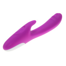 Dildo Vibrant Silicone Sex Toy pour Femme Injo-Zd006